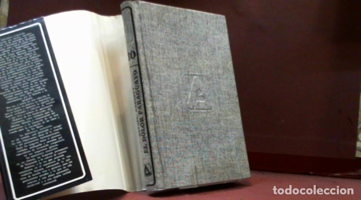 Libros de segunda mano: RAFAEL BARRETT ... EL DOLOR PARAGUAYO ... 1978 - Foto 2