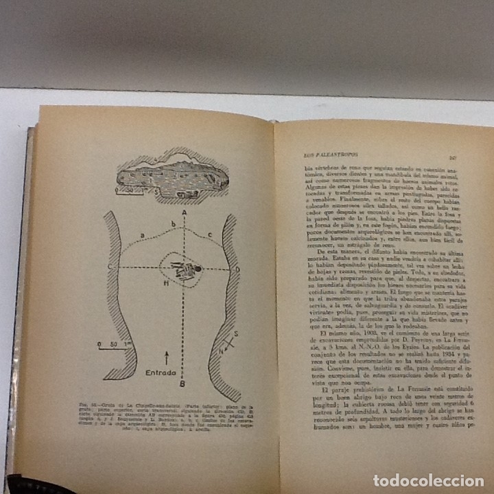 Libros de segunda mano: BERGOUNIOUX ... LA PREHISTORIA Y SUS PROBLEMAS ... 1966 - Foto 4