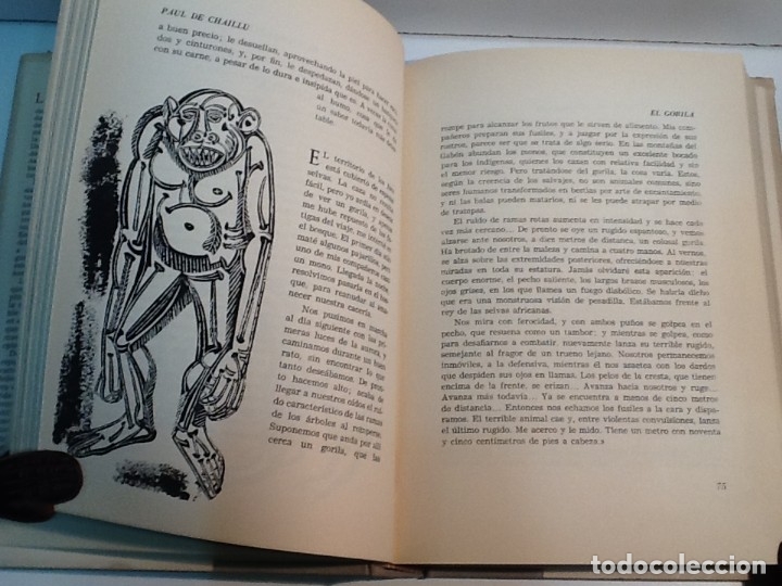 Libros de segunda mano: LA CAZA EN LA LITERATURA ... 1961 - Foto 3