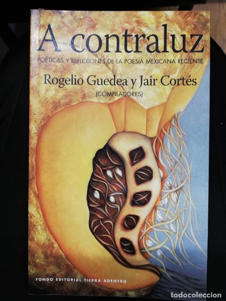 Libros de segunda mano: A CONTRALUZ - ROGELIO GUEDEA Y JAIR CORT&Eacute;S - Foto 1
