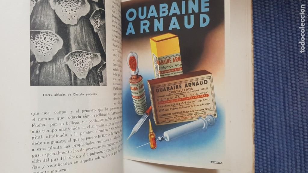 Libros de segunda mano: P&eacute;rez, Fern&aacute;n: El coraz&oacute;n en la Historia y el Arte - Foto 2