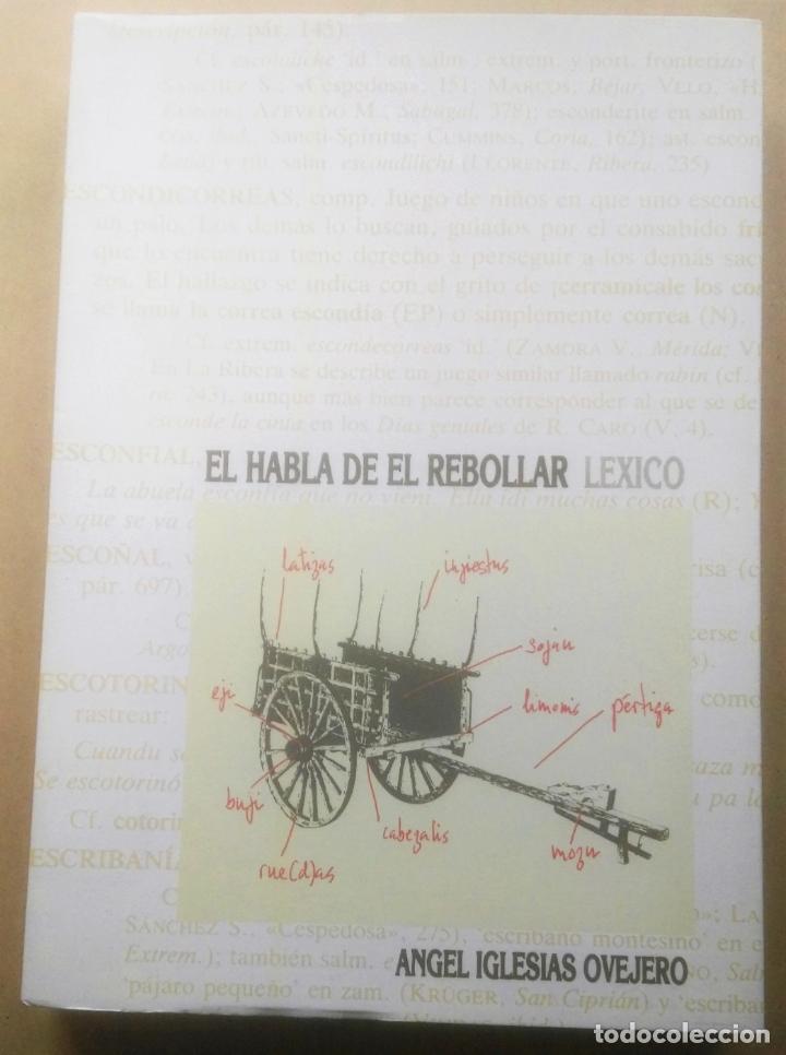 Libros de segunda mano: &Aacute;ngel Iglesias Ovejero, El habla de El Rebollar, L&eacute;xico. Salamanca, 1990