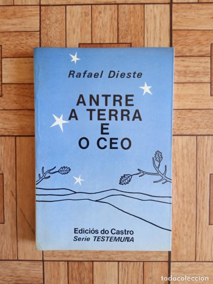 Libros de segunda mano: RAFAEL DIESTE - ANTRE A TERRA E O CEO - Foto 1