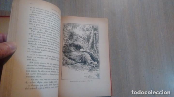 Libros de segunda mano: A LO LARGO DEL AMAZONAS - W.H.G. KINGSTON - - Foto 4