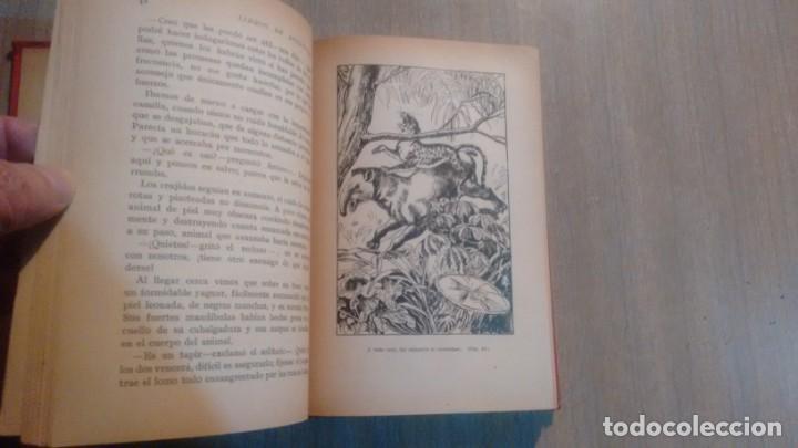 Libros de segunda mano: A LO LARGO DEL AMAZONAS - W.H.G. KINGSTON - - Foto 5