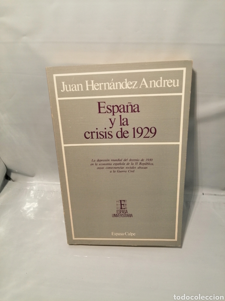 Libros de segunda mano: ESPA&Ntilde;A Y LA CRISIS DE 1929 (Primera edici&oacute;n) - Foto 1