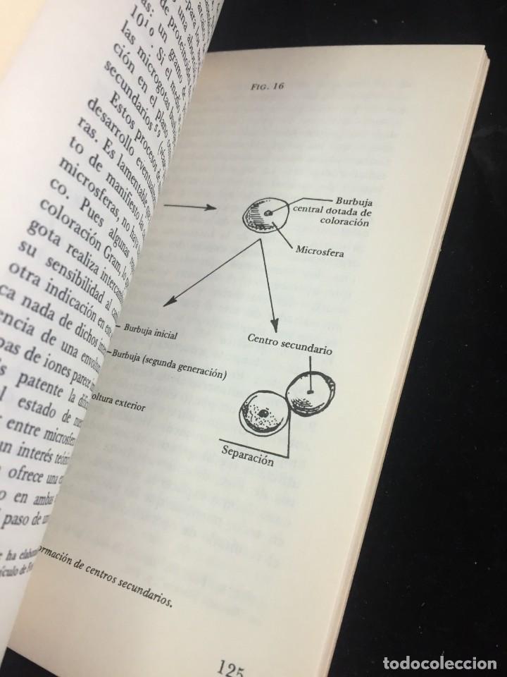 Libros de segunda mano: EL ORIGEN DE LA VIDA. CHRISTIAN LEOURIER. Ediciones Istmo 1970 - Foto 4