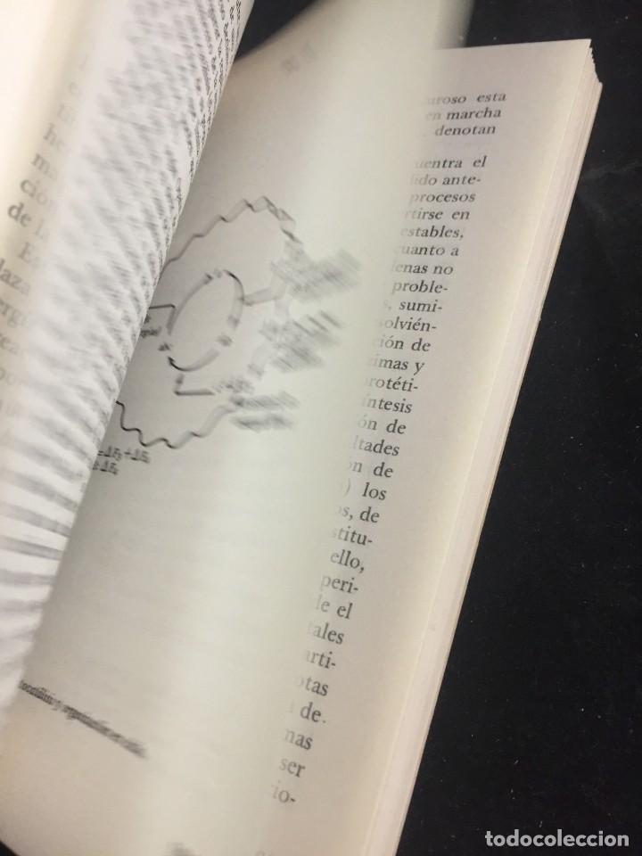 Libros de segunda mano: EL ORIGEN DE LA VIDA. CHRISTIAN LEOURIER. Ediciones Istmo 1970 - Foto 6