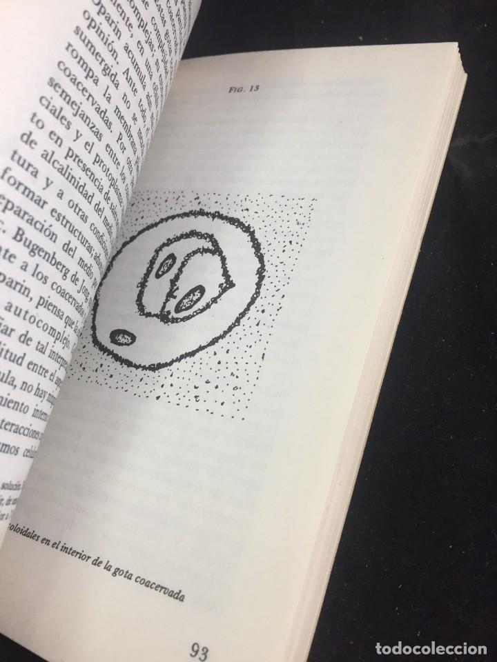Libros de segunda mano: EL ORIGEN DE LA VIDA. CHRISTIAN LEOURIER. Ediciones Istmo 1970 - Foto 8
