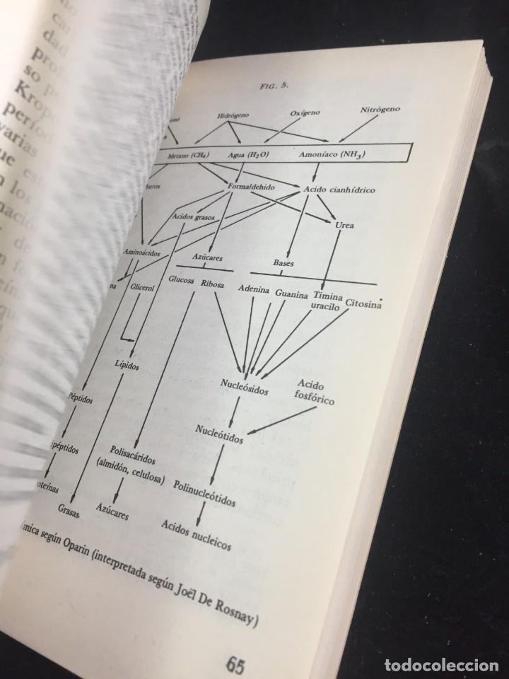 Libros de segunda mano: EL ORIGEN DE LA VIDA. CHRISTIAN LEOURIER. Ediciones Istmo 1970 - Foto 11