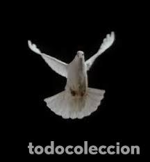 Libros de segunda mano: EL APOCALIPSIS JOH EN LA ESPADA DE LA PALOMA Crist&oacute;bal Serra - Foto 1