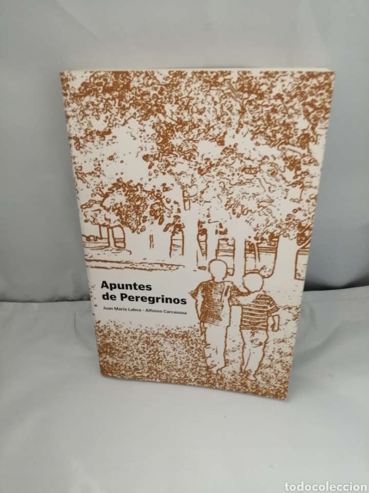 Libros de segunda mano: APUNTES DE PEREGRINOS - Foto 1