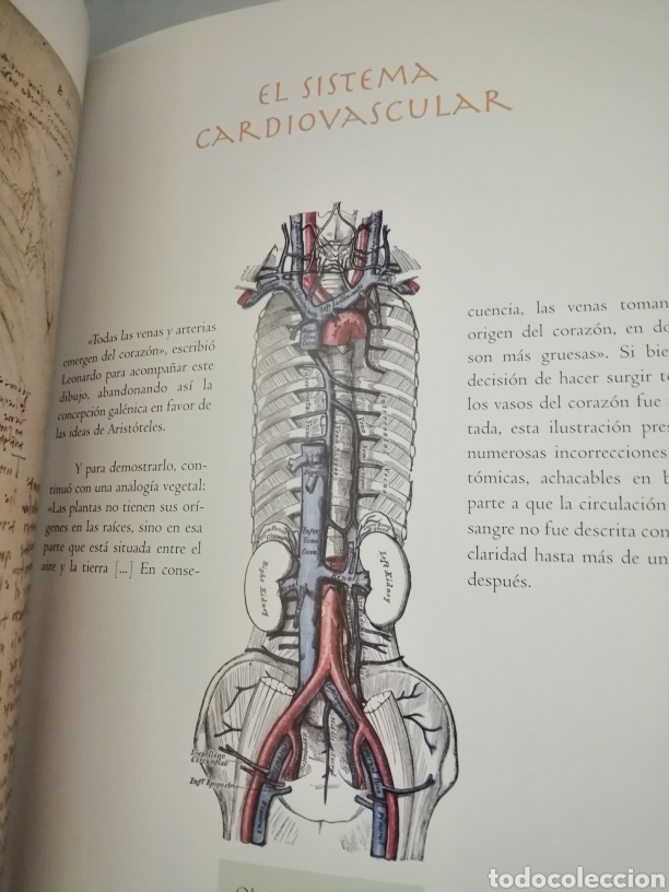 Libros de segunda mano: DA VINCI Y GRAY: DOS VISIONES DEL CUERPO HUMANO - Foto 3