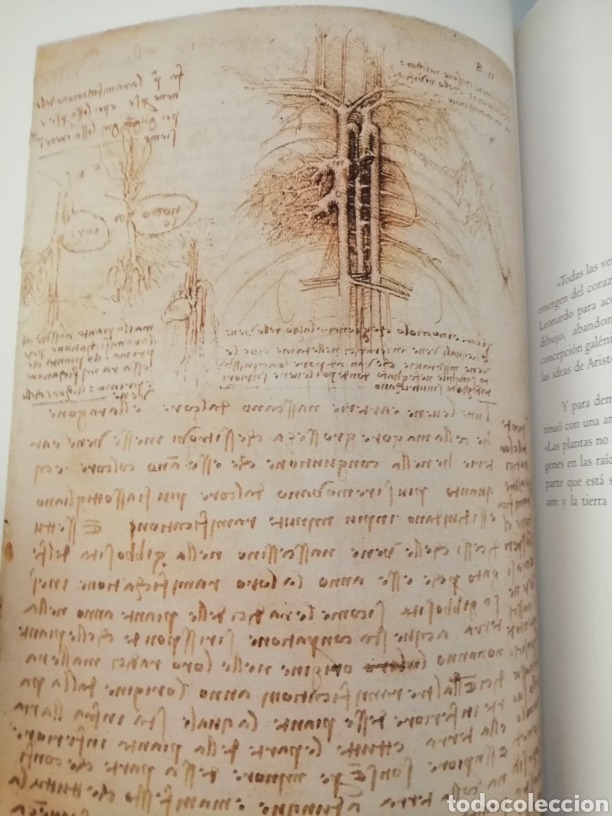 Libros de segunda mano: DA VINCI Y GRAY: DOS VISIONES DEL CUERPO HUMANO - Foto 4