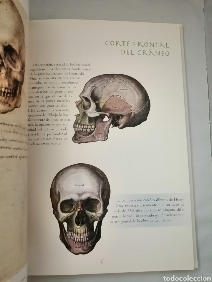 Libros de segunda mano: DA VINCI Y GRAY: DOS VISIONES DEL CUERPO HUMANO - Foto 6
