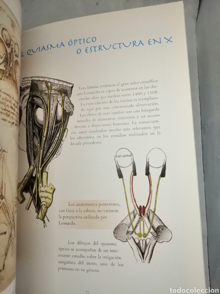 Libros de segunda mano: DA VINCI Y GRAY: DOS VISIONES DEL CUERPO HUMANO - Foto 7