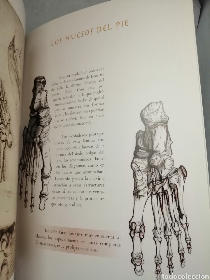 Libros de segunda mano: DA VINCI Y GRAY: DOS VISIONES DEL CUERPO HUMANO - Foto 8