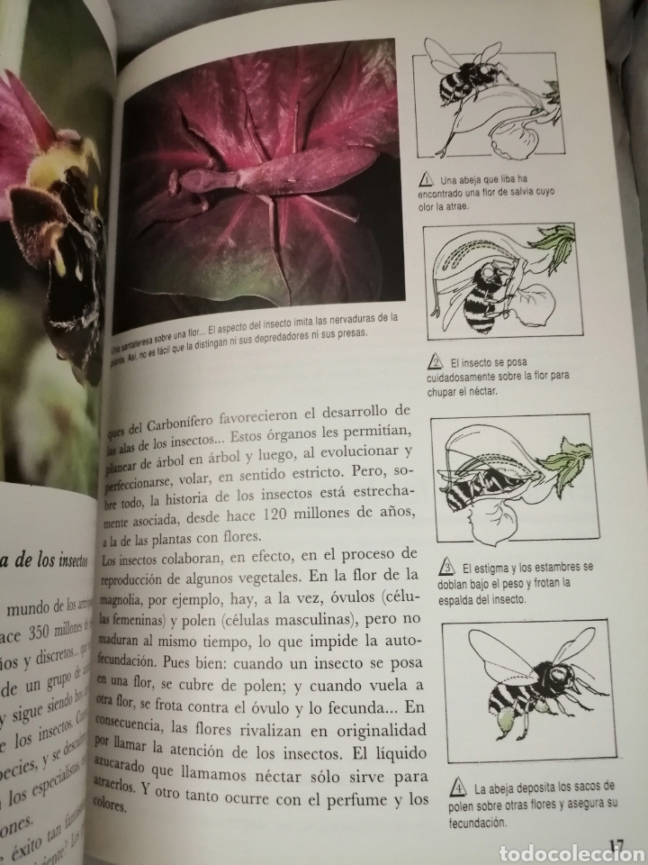Libros de segunda mano: LA AVENTURA DE LA VIDA - Foto 3