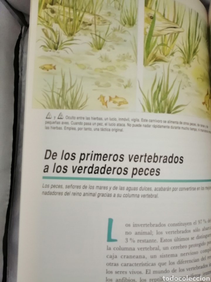 Libros de segunda mano: LA AVENTURA DE LA VIDA - Foto 4