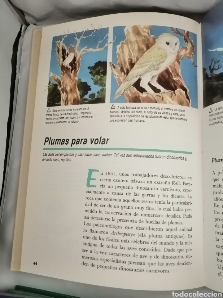 Libros de segunda mano: LA AVENTURA DE LA VIDA - Foto 5