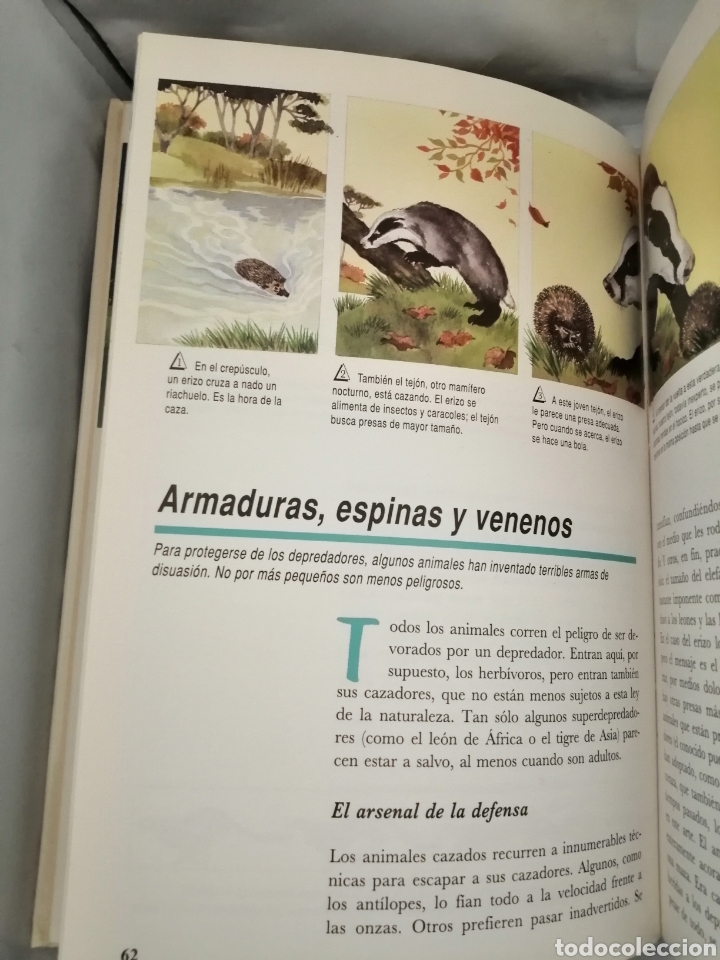 Libros de segunda mano: LA AVENTURA DE LA VIDA - Foto 6