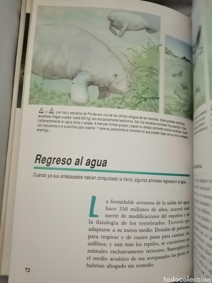 Libros de segunda mano: LA AVENTURA DE LA VIDA - Foto 7