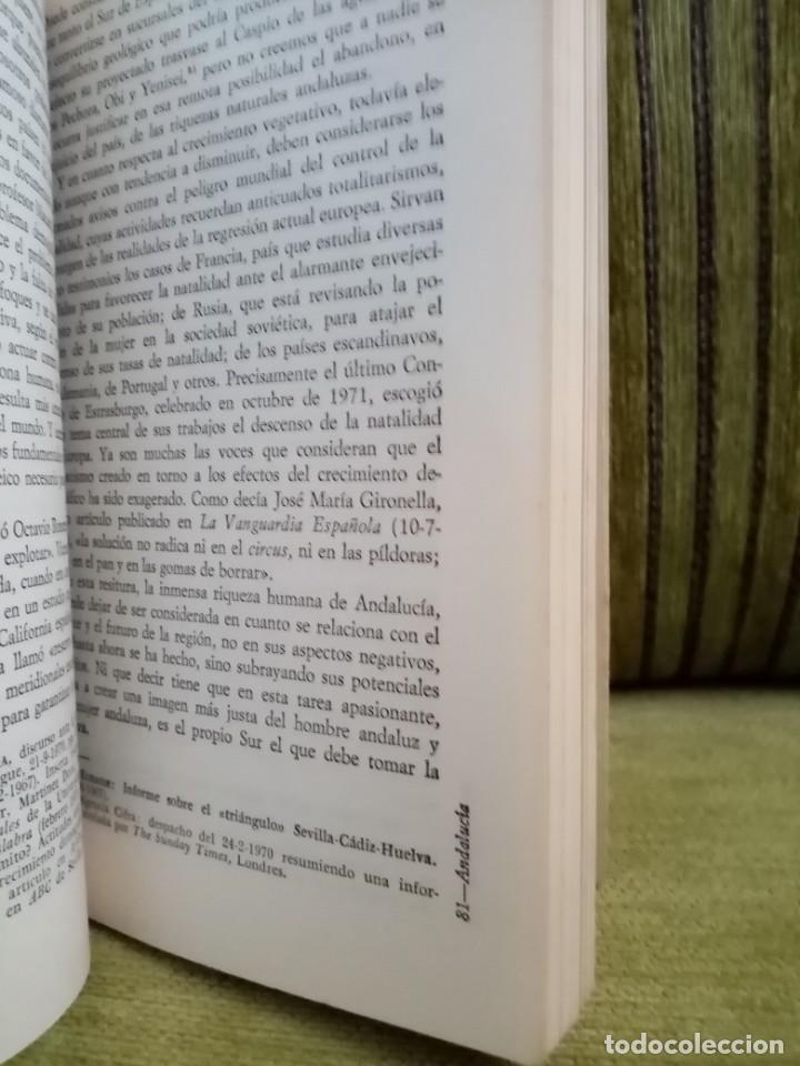 Libros de segunda mano: ANDALUC&Iacute;A. LOS SIETE C&Iacute;RCULOS VICIOSOS DEL SUBDESARROLLO - Foto 7