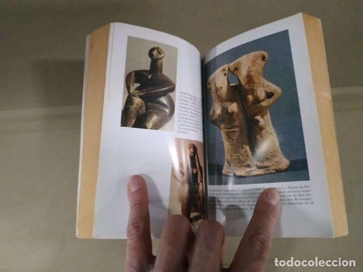 Libros de segunda mano: Dios Naci&oacute; Mujer - Pepe Rodr&iacute;guez - Foto 4