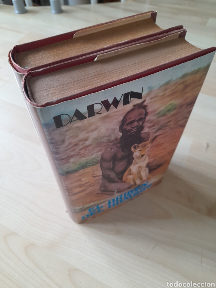 Libros de segunda mano: El origen del hombre. Darwin. 2 Tomos - Foto 3