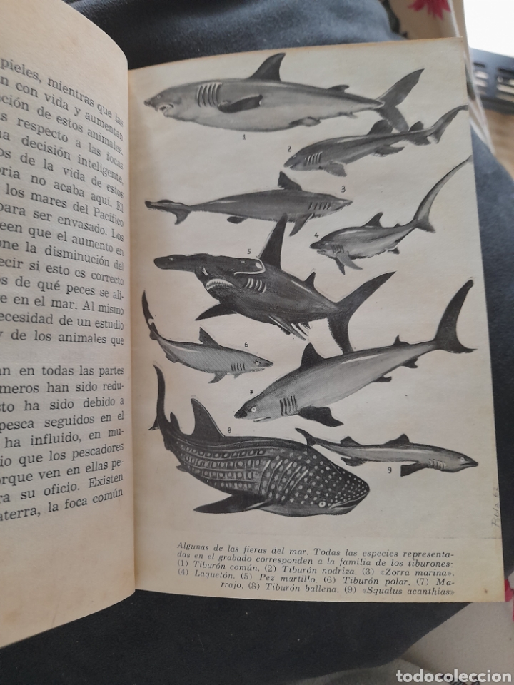 Libros de segunda mano: El mar. Maurice Burton - Foto 3