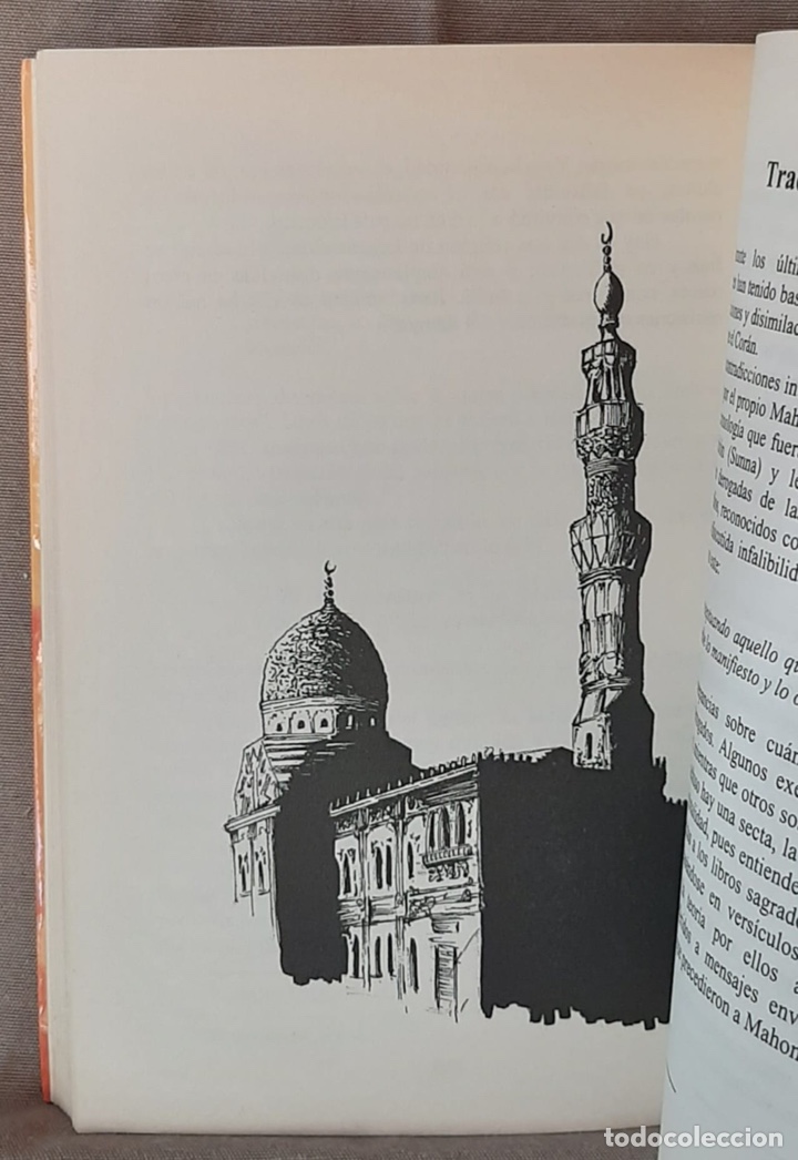 Libros de segunda mano: Los mensajes del Corona. Gerardo Mu&ntilde;oz Lorente. - Foto 4