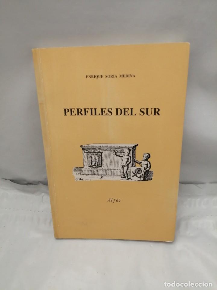 Libros de segunda mano: PERFILES DEL SUR (PRIMERA EDICI&Oacute;N) - Foto 1