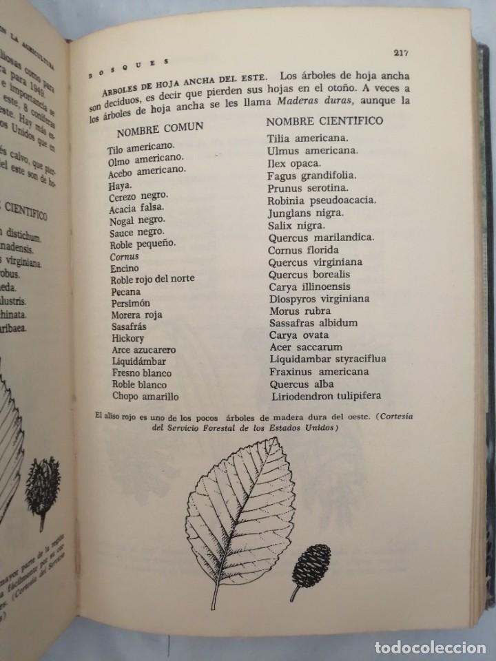 Libros de segunda mano: EXPLORACI&Oacute;N EN LA AGRICULTURA - Foto 8