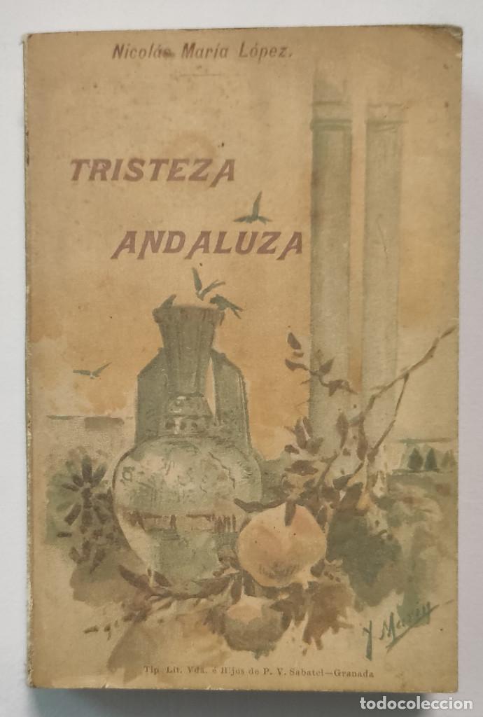 Libros de segunda mano: TRISTEZA ANDALUZA. NICOL&Aacute;S MAR&Iacute;A L&Oacute;PEZ. - Foto 1