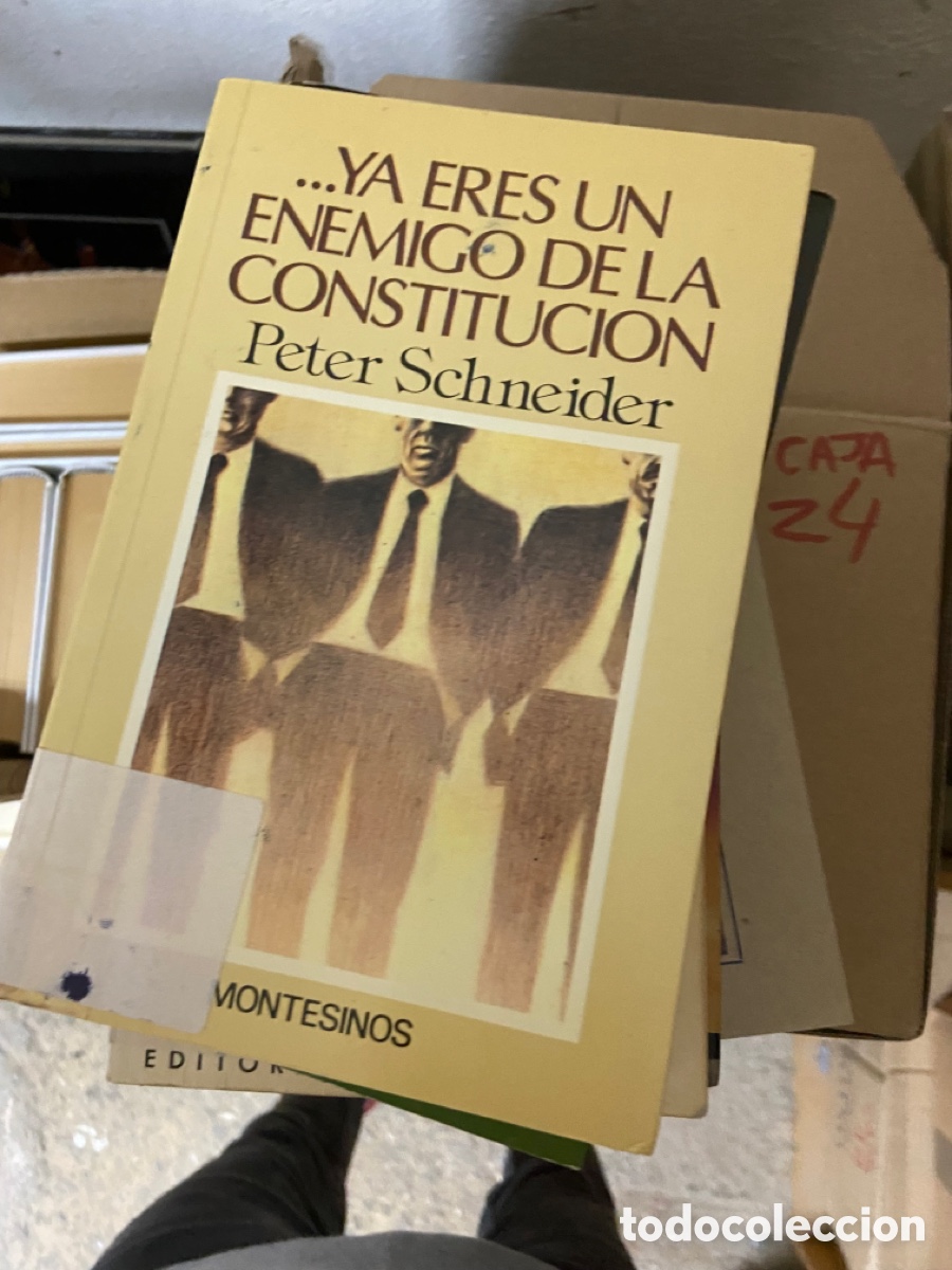 Libros de segunda mano: Caja38 ...YA ERES UN ENEMIGO DE LA CONSTITUCION Peter Schneider - Foto 1