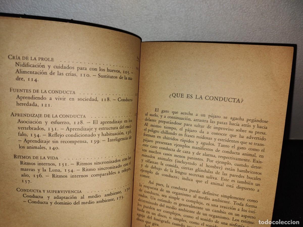 Libros de segunda mano: 50- LA CONDUCTA DE LOS ANIMALES - J. D. CARTHY - Foto 4