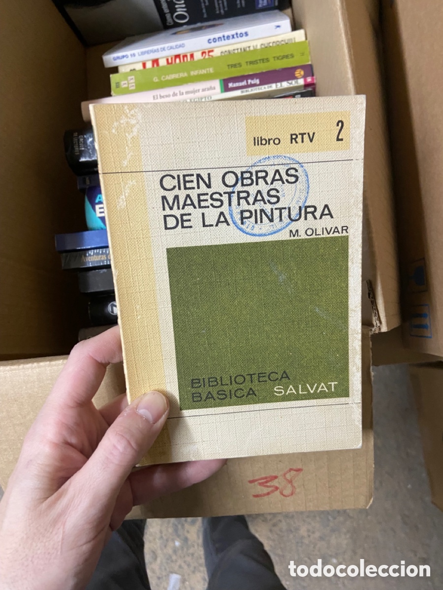 Libros de segunda mano: Caja38 CIEN OBRAS MAESTRAS DE LA PINTURA M. OLIVAR