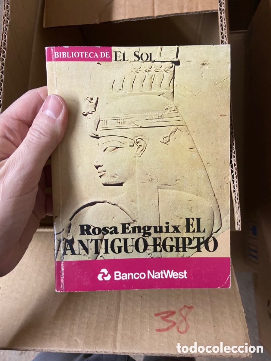 Libros de segunda mano: Caja38 Rosa Enguix EL ANTIGUO EGIPTO - biblioteca el sol - Foto 1