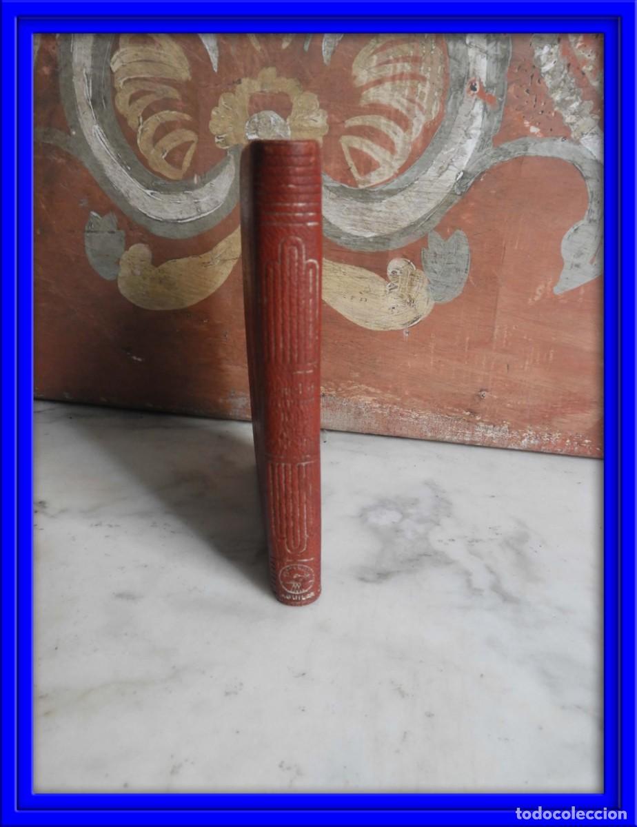 Libros de segunda mano: LIBRO COLECCION GRISOL NIEBLA Y ABEL SANCHEZ DE UNAMUNO - Foto 1