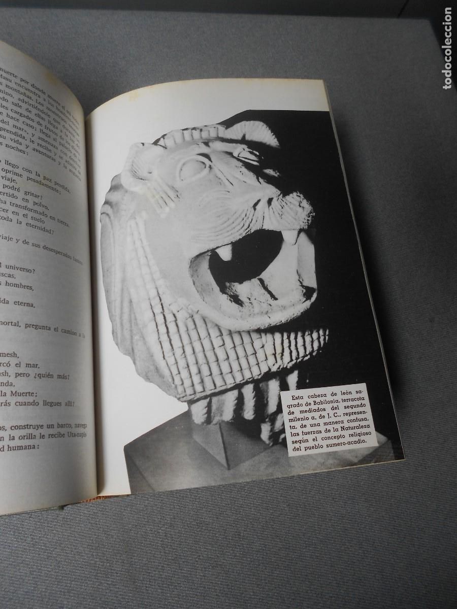 Libros de segunda mano: HISTORIA DE LAS RELIGIONES - Foto 5