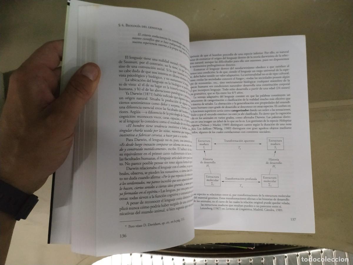 Libros de segunda mano: Ling&uuml;&iacute;stica - &Aacute;ngel Alonso - Cort&eacute;s. C&aacute;tedra - Foto 4