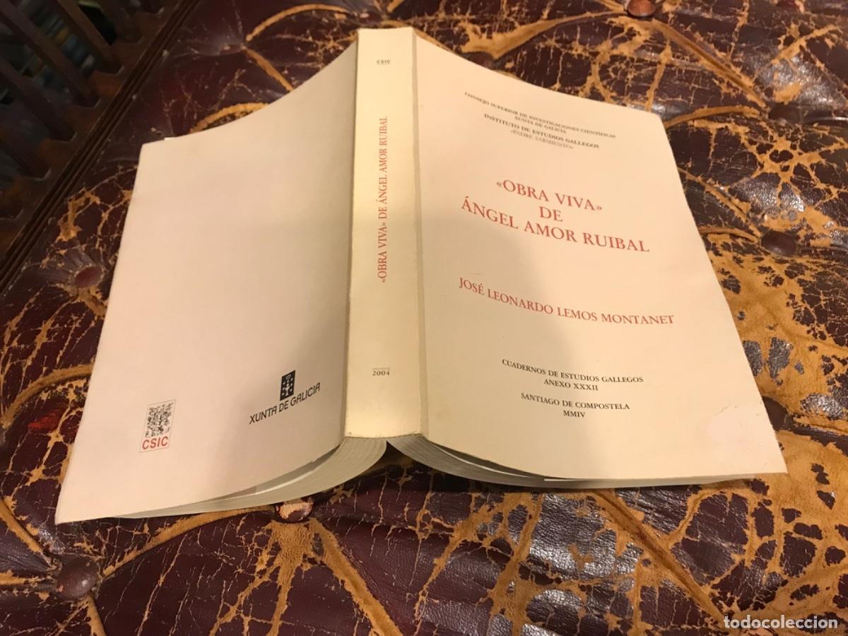 Second hand books: JOS&Eacute; LEONARDO LEMOS MONTANET. OBRA VIVA DE &Aacute;NGEL AMOR RUIBAL. 2004