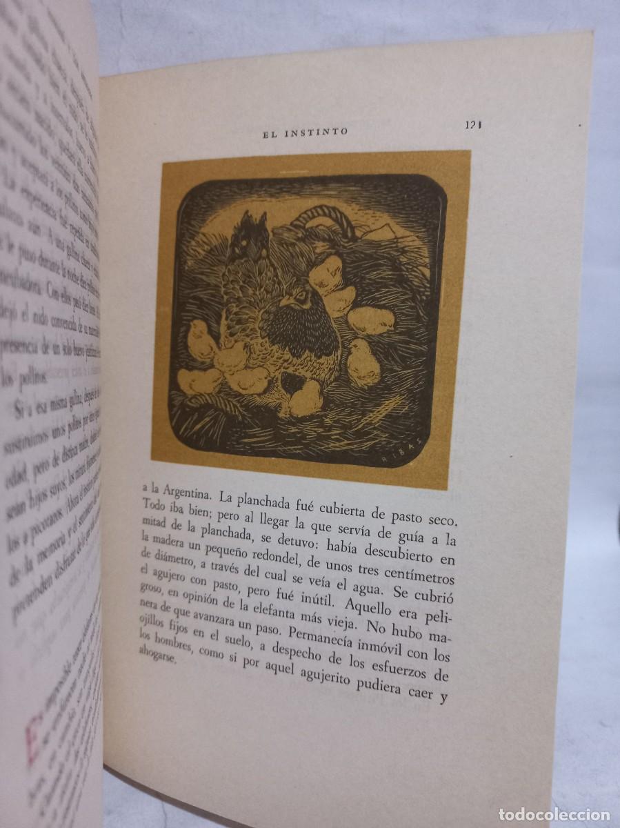 Libros de segunda mano: Constancio C. Vigil - El Hombre y los Animales - 1958 - Foto 4