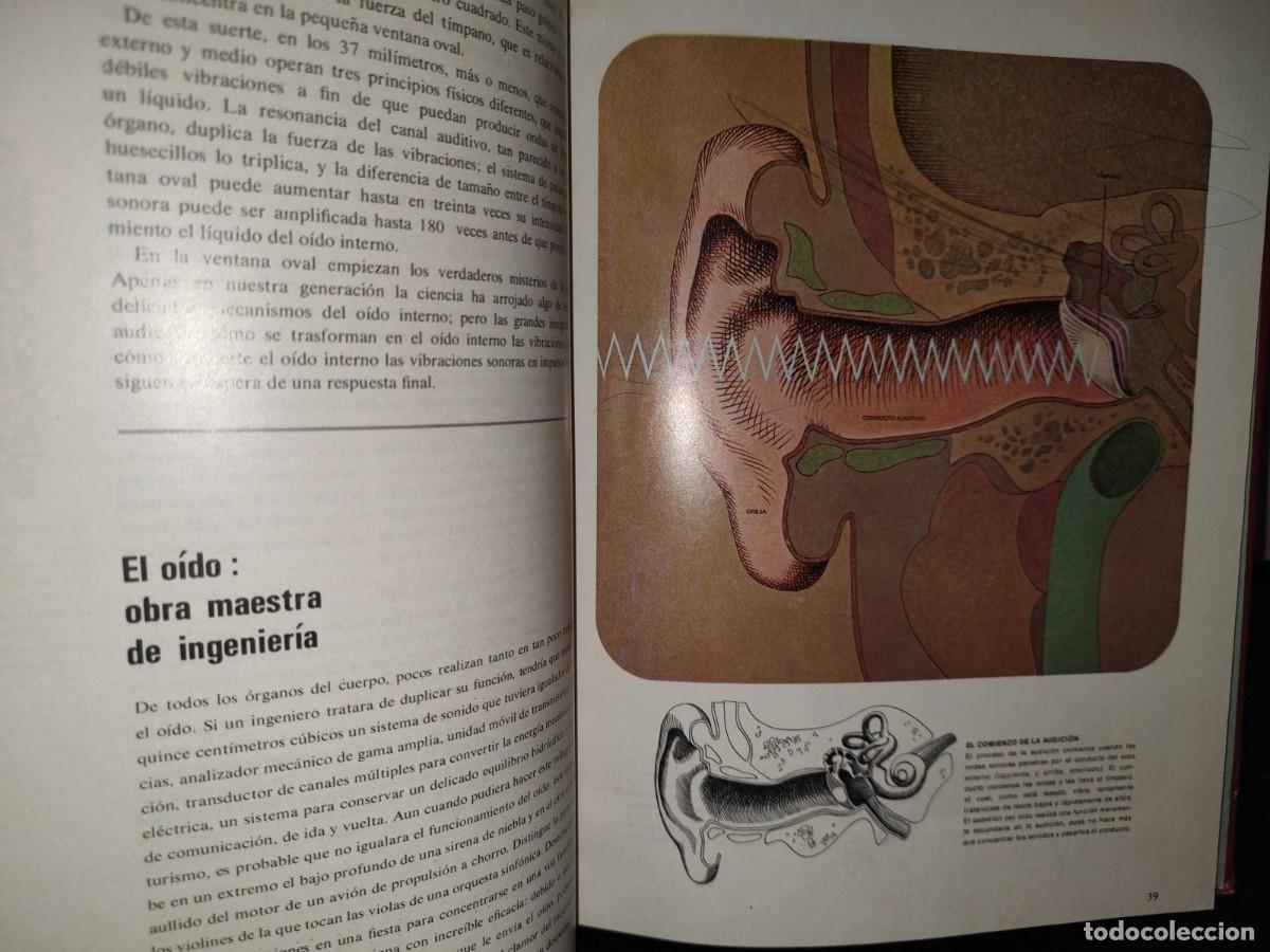 Libros de segunda mano: 183- SONIDO Y AUDICI&Oacute;N. COLECCI&Oacute;N CIENT&Iacute;FICA TIME LIFE - 1977 - Foto 7