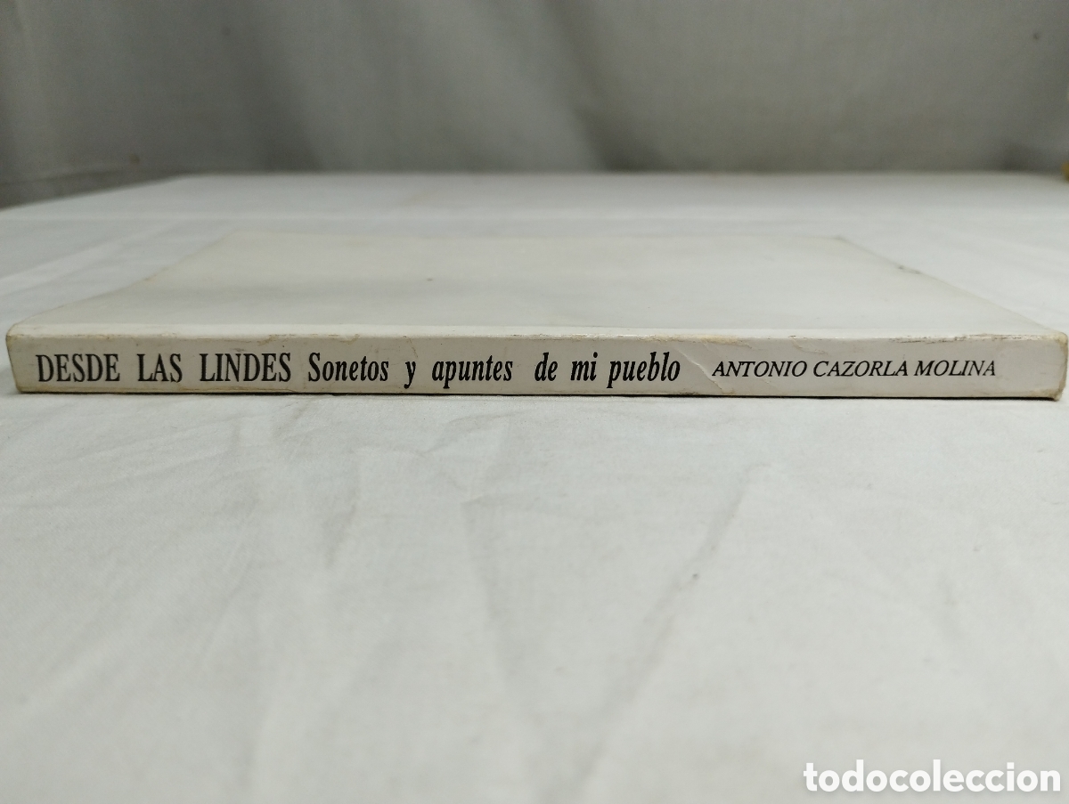 Libros de segunda mano: Desde las lindes. Antonio Cazorla, 1987 KKB - Foto 2