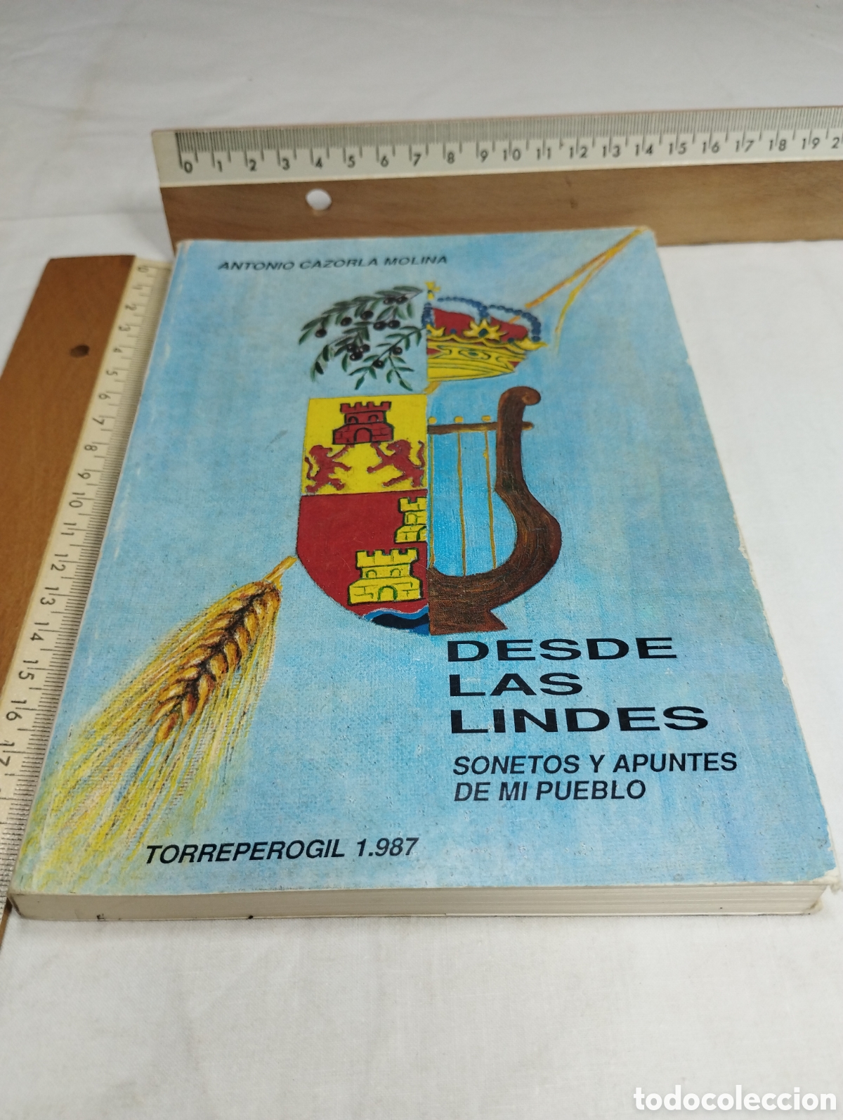 Libros de segunda mano: Desde las lindes. Antonio Cazorla, 1987 KKB - Foto 1