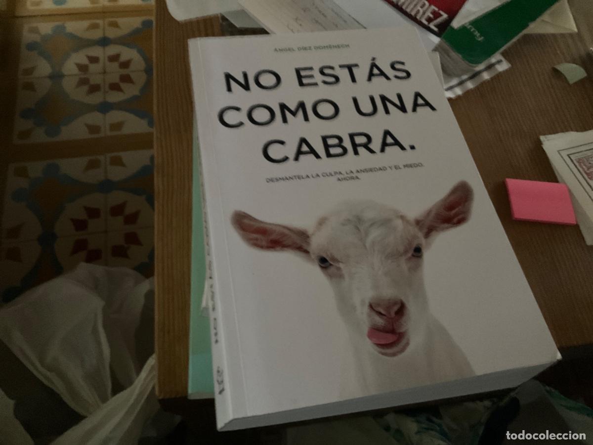 Livres d'occasion: Angel diez Domenech No estas como una cabra. Desmantela la culpa la ansiedad y el miedo