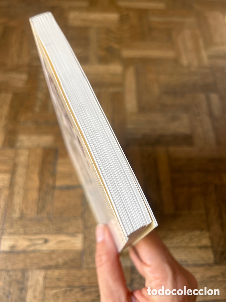 Libros de segunda mano: El abuso de la belleza - Arthur C. Danto - Paid&oacute;s (2005) - Foto 6