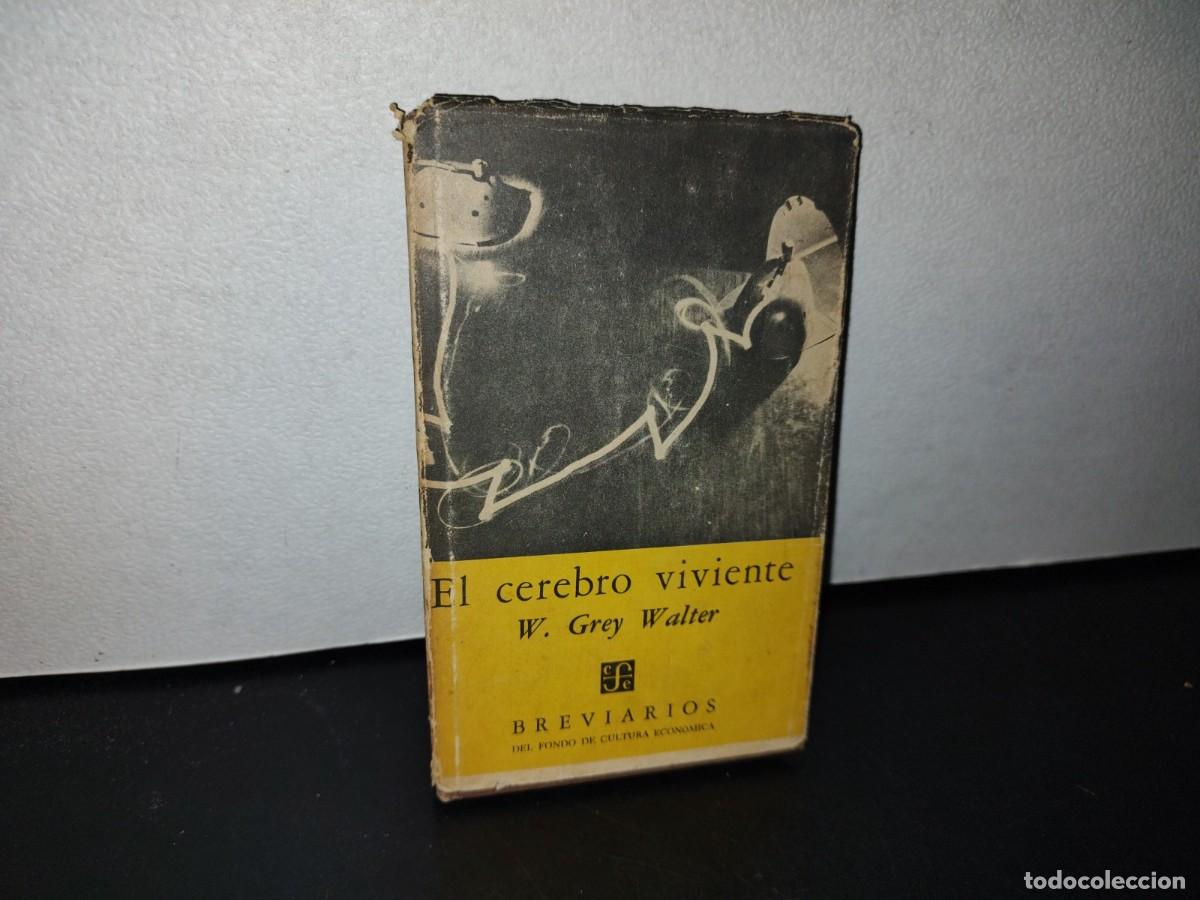 Libros de segunda mano: 78- EL CEREBRO VIVIENTE - W. GREY WALTER - Foto 1
