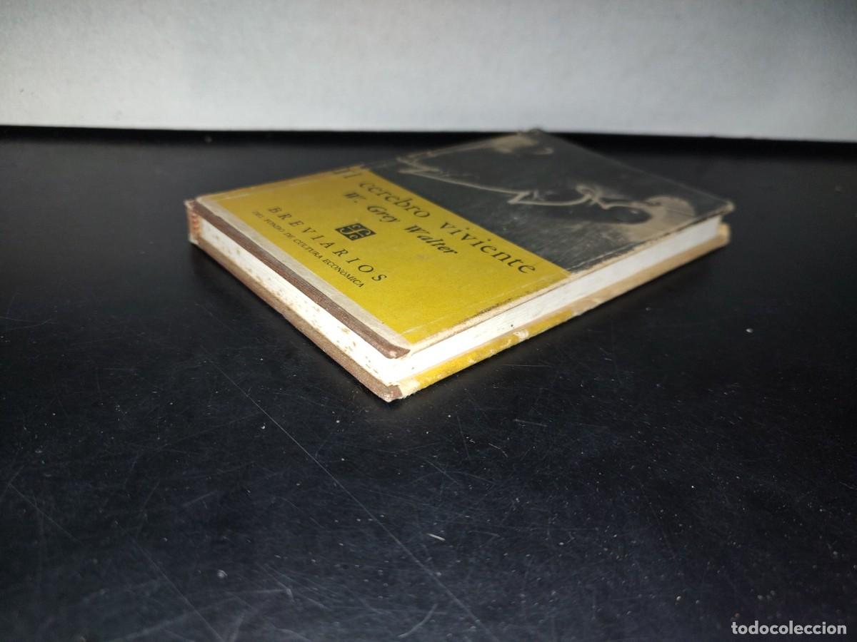 Libros de segunda mano: 78- EL CEREBRO VIVIENTE - W. GREY WALTER - Foto 3